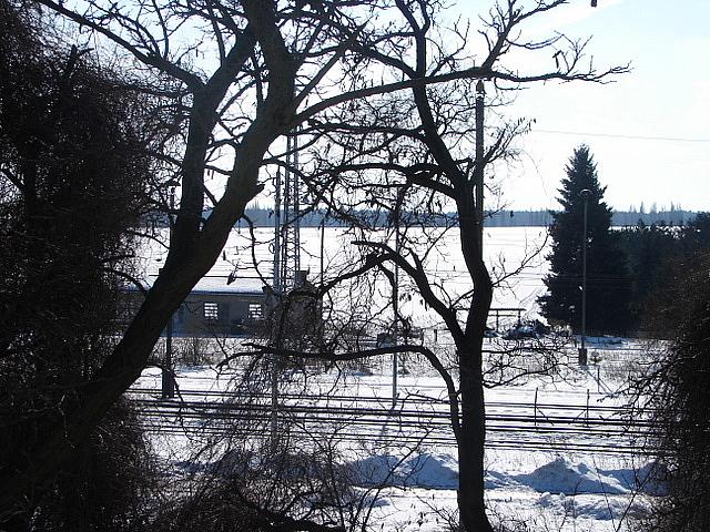 DSC03275