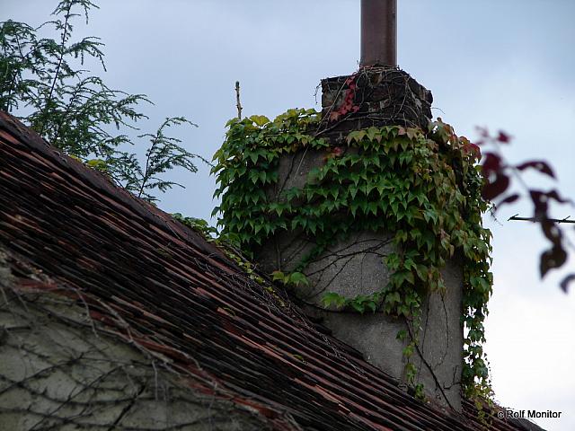 DSC03961