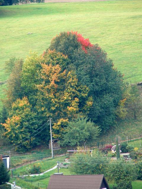 DSC06750