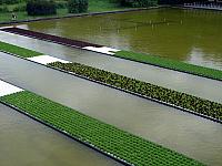 DSC05179