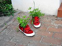 Rotes Schuhpäarchen