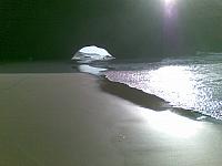 rolf20102009 014 