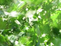 IMG 7163
